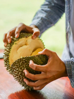 Durian.