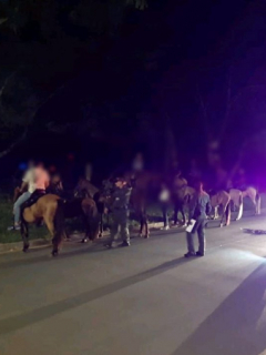 Policía multa a jinetes de cabalgata ilegal en Cali
