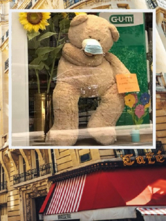 Paisaje urbano de París / Oso de peluche en una vitrina de París