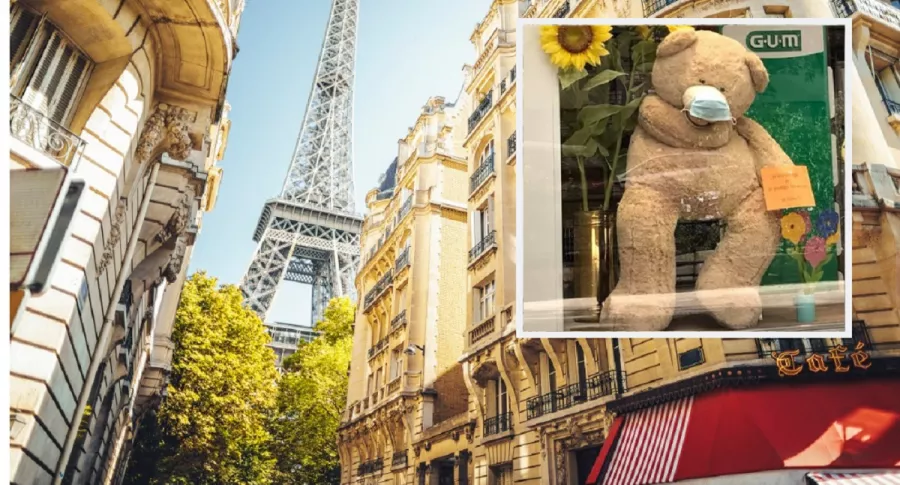 Paisaje urbano de París / Oso de peluche en una vitrina de París