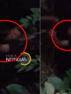 Presunto Violador Huila
