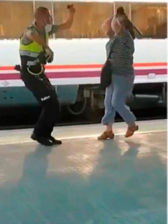 Mujer pega a vigilante de tren