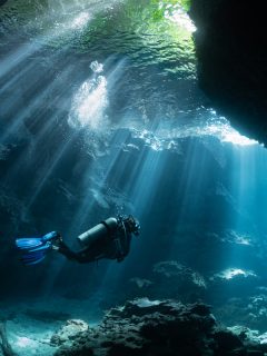 Buceo