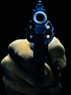 Revolver
