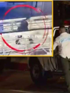 Absolverán a médico que mató a 3 atracadores en Bogotá