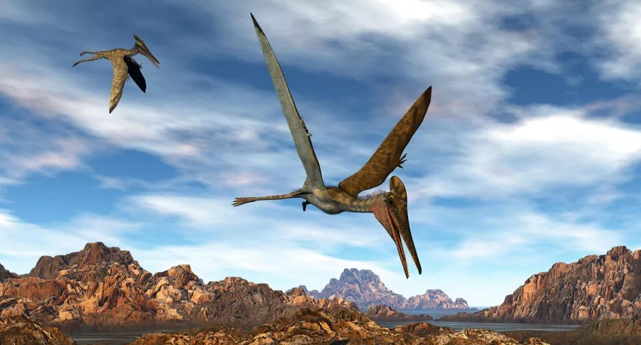Imagen de referencia de un pterosaurio, como el encontrado en Santander, Colombia