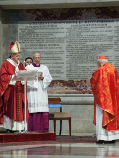 Pap Francisco