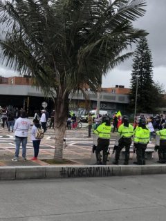 Bogotanos no aprenden: armaron marcha mientras la ciudad se acerca al pico de la pandemia.