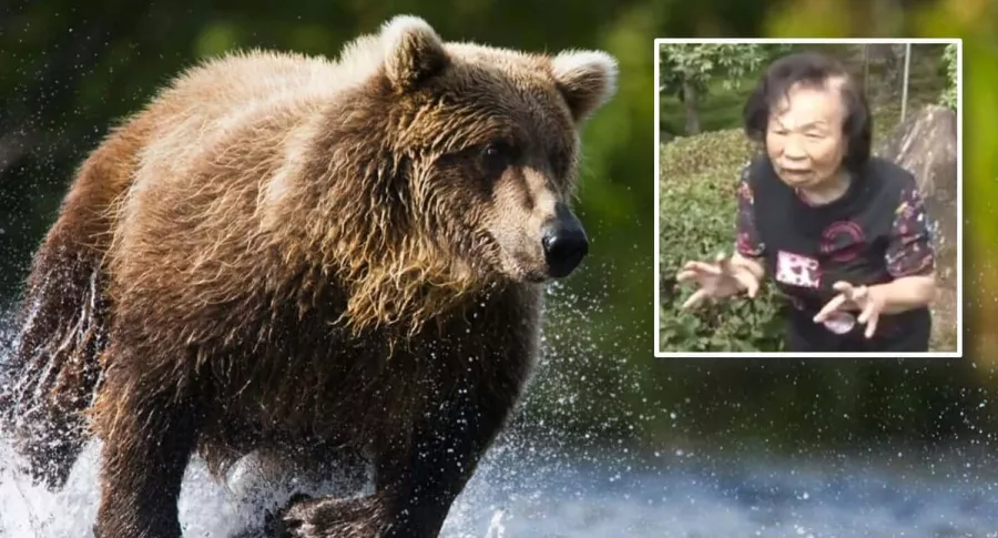 Con sus propias manos, anciana enfrentó a un osos y lo mandó "a volar".