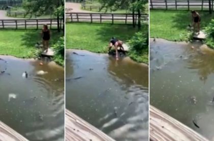 Videos: mujer e hijo entrar a estanque lleno de cocodrilos
