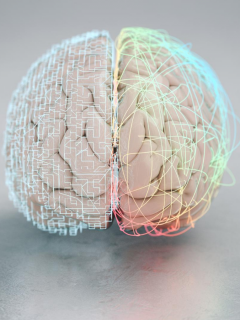 Ejercitar el cerebro