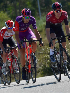 Pelotón en la Vuelta a Burgos