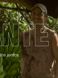 Juntos construimos país