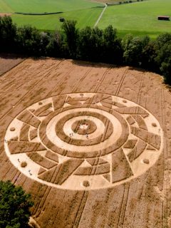 Dibujo en campo de trigo en Alemania.