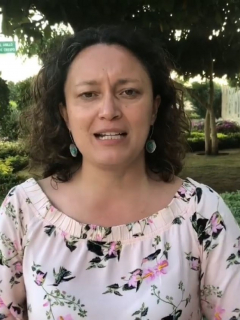 Angélica Lozano lanzó insultos y groserías en sesión virtual