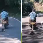 Hombre que arrastró perro en una moto