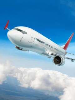 Pelea en un avión por culpa de pasajeros que se negaron a usar tapabocas.