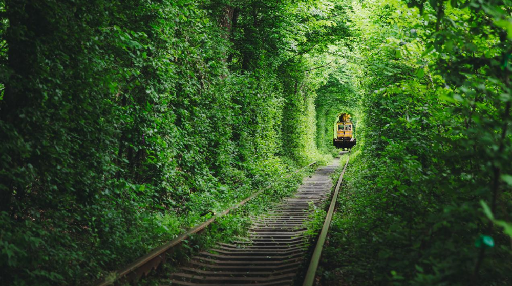 Tren cruzando el Túnel del Amor de Ucrania