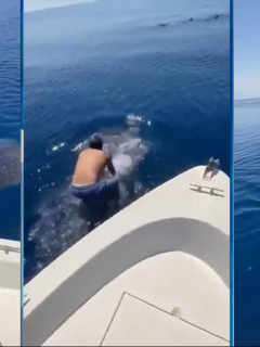 Hombre monta ballena en Arabia