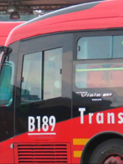Buses de Transmilenio.