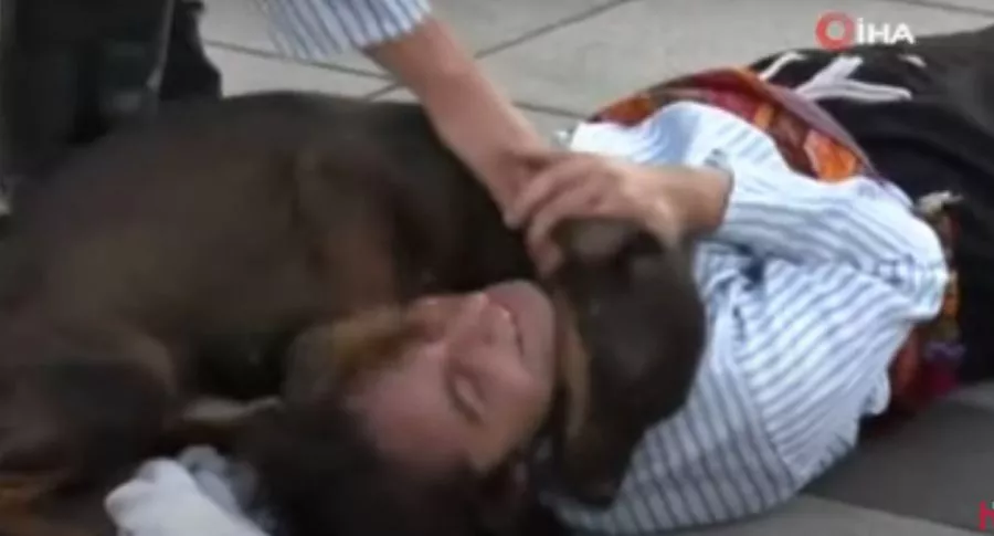 Captura de pantalla de perro consolando a actor que fingía estar herido