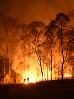 Incendio en bosque ilustra nota de fiesta para revelar género de bebé que desató un voraz incendio
