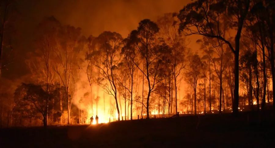 Incendio en bosque ilustra nota de fiesta para revelar género de bebé que desató un voraz incendio