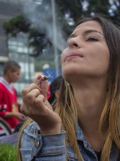 Marihuana recreativa pasó primer debate en Cámara de Representantes de Colombia