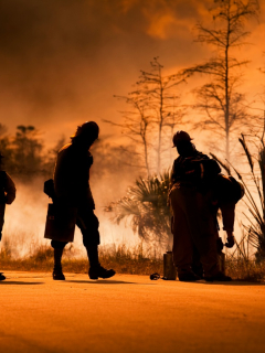 Foto de un incendio forestal ilustra nota sobre un niño que murió abrazado a su perro mientras las llamas los rodeaban, en EE. UU.