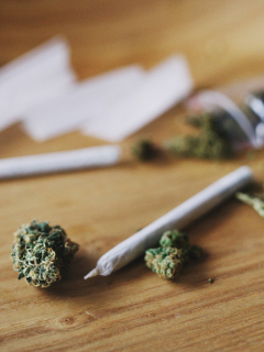 Imagen ilustrativa de la marihuana recreativa, a propósito de su aprobación, en primer debate, en la Cámara de Representantes.