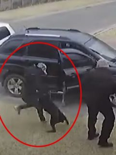 Captura de pantalla del momento en que perra se abalanza sobre ladrón que amenaza a su amo