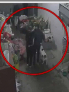 Imagen del momento en que un perro salvó de atraco a sus dueños, en Bogotá