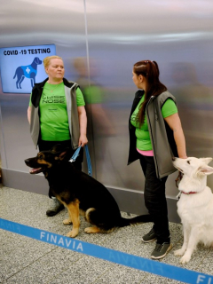 Aeropuerto de Helsinki, donde utilizan perros para detectar gente con coronavirus