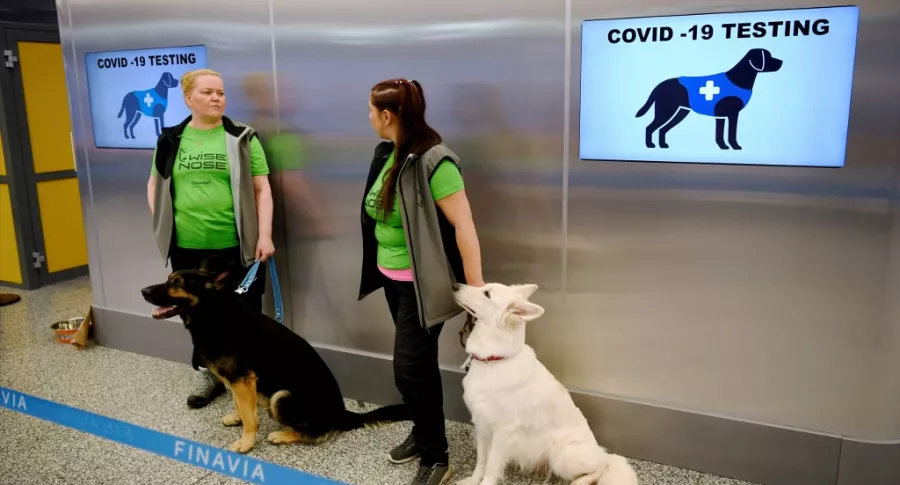 Aeropuerto de Helsinki, donde utilizan perros para detectar gente con coronavirus