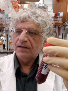 Anticuerpos de las bacterias podrían servir contra COVID-19.