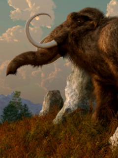 Mineros de oro hallan restos de mastodonte de 10.000 años.