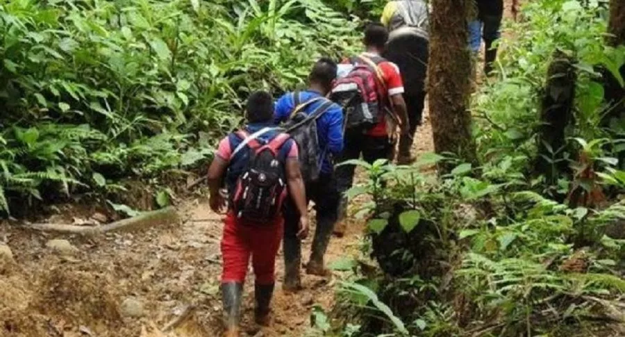 Indígenas Awá, de Tumaco, Nariño, quedaron en medio de enfrentamientos entre grupos armados ilegales. Denuncian secuestro de 40 de ellos y muerte de 5 personas.