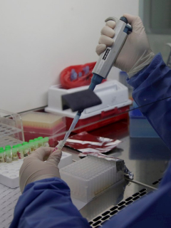Coronavirus en Colombia: casos y muertos hoy septiembre 27. Laboratorio procesando prueba de COVID-19.