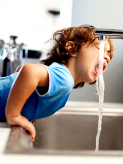 Instan a no tomar agua de grifo, en Texas, por ameba comecerebros