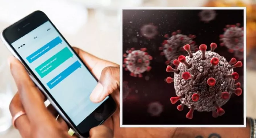 Coronavirus puede sobrevivir hasta 28 días en pantallas de celulares, según estudio de la Agencia Nacional de Ciencias de Australia.