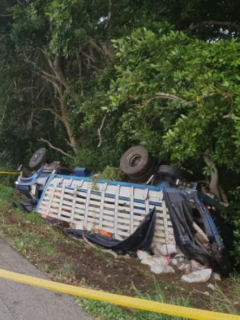 Camión accidentado
