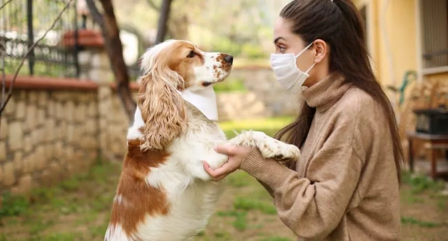 Foto de perro y su dueña ilustra nota sobre cómo los perros hacen para detectar el coronavirus.