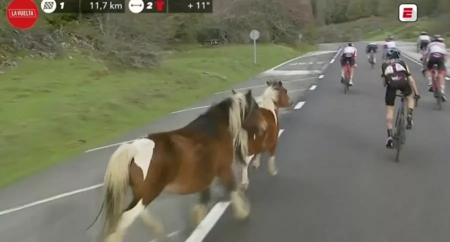 Algunos caballos se atravesaron durante el final de la etapa 2 de la Vuelta a España 2020.
