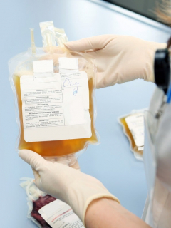 El plasma de pacientes convalencientes para a ser