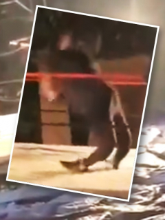 Buscan no amputar piernas rotas de luchador; familia pide plata.