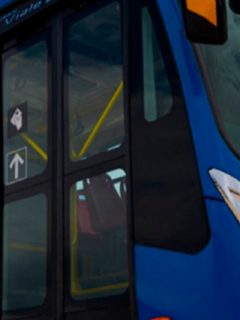 Gobierno autoriza ocupación hasta del 70 % en el transporte público.