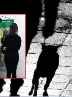 Fotomontaje con la mujer capturada por maltrato animal en Tuluá.