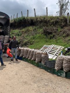 Gobernación de Cundinamarca ayudará a campesinos que venden papa