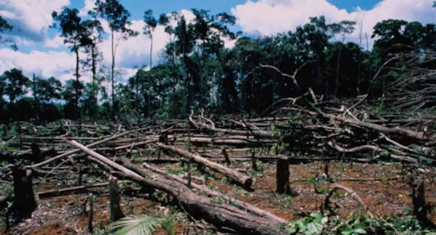 Deforestación en Amazonia colombiana.