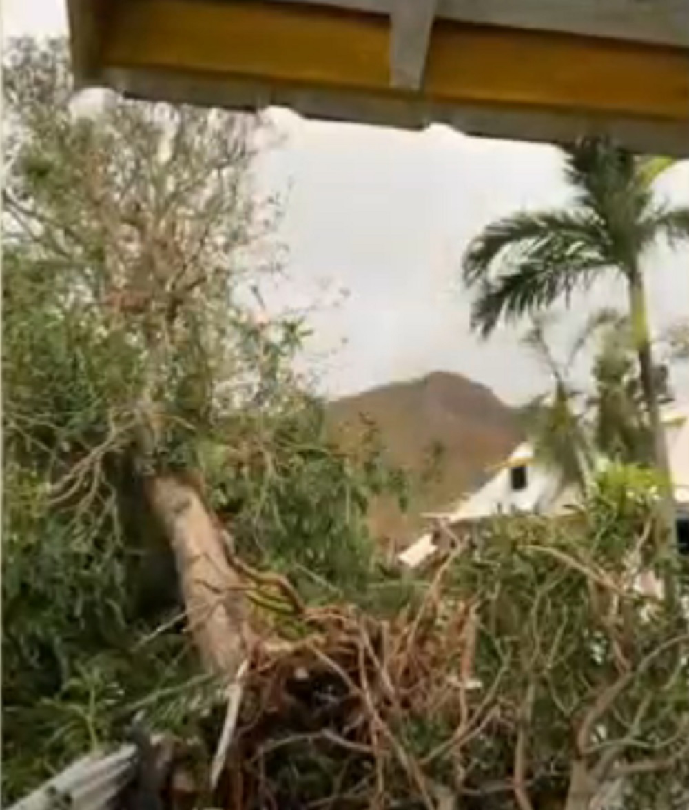 Los árboles también se vieron abatidos por el huracán Iota, quedaron tirados por toda la isla de Providencia / Foto tomada por la turista María Chinkousky y que fue difundida por Noticias Caracol.
